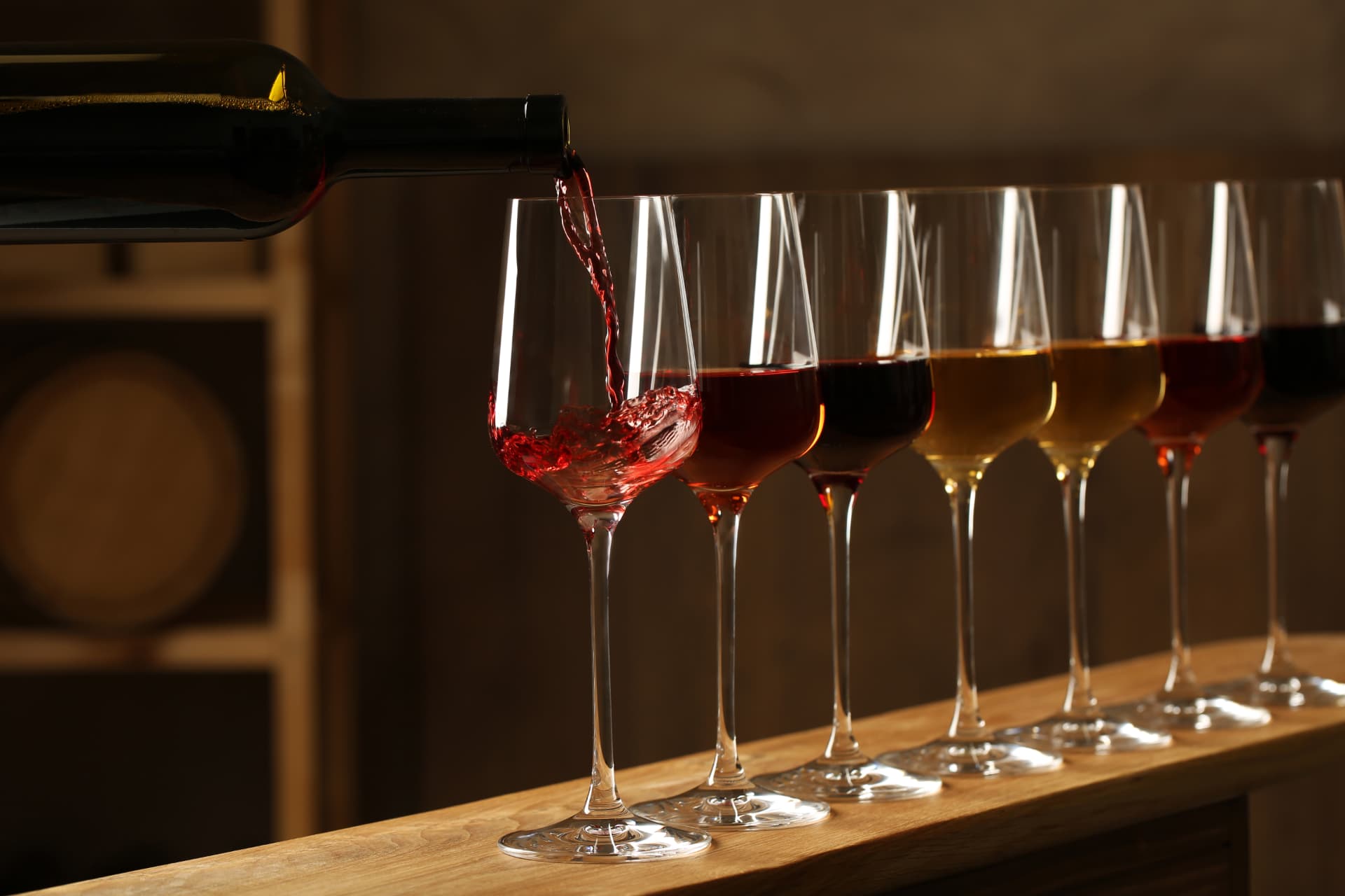 Wine tasting for travel partners